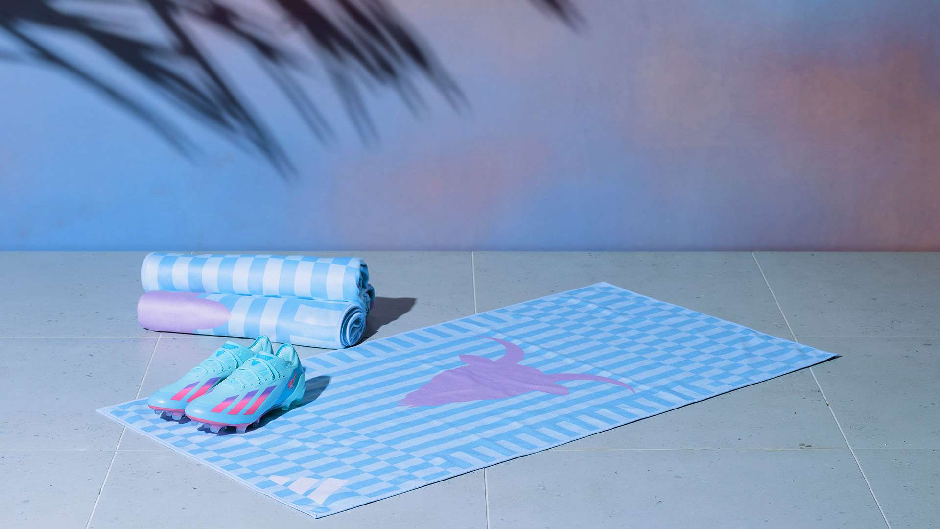 带来的身体 带来的身体